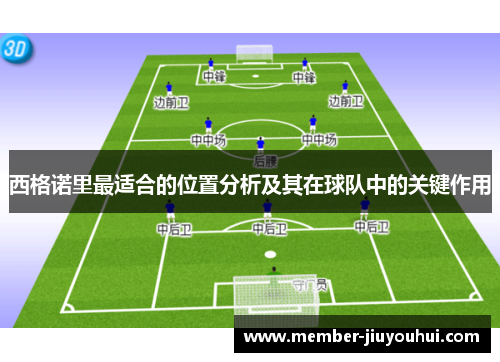 西格诺里最适合的位置分析及其在球队中的关键作用
